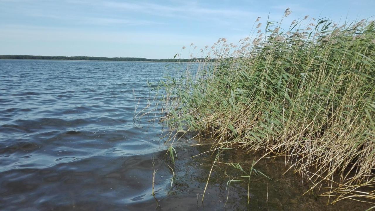 Domek Letniskowy "Domek Lawendowy" Pisz Buitenkant foto